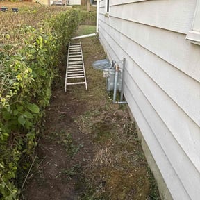 Bush Trimming by MOWIT+1 reviewed on November 23, 2025