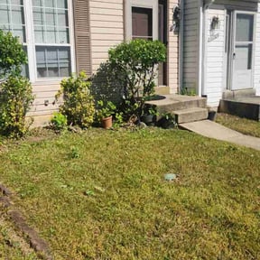 Bush Trimming by Countryside lawn and garden reviewed on August 16, 2025