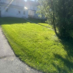 landscaping services by Starlings Lawn Care LLC reviewed on August 20, 2025