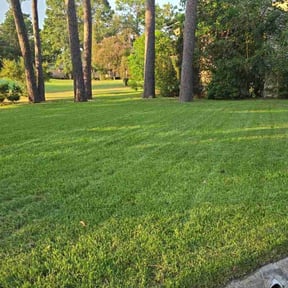 yard work by Pine Forest Lawn Care reviewed on November 22, 2025