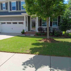 turf care by Jones Lawn Care reviewed on September 9, 2024