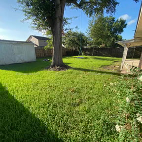 landscaping services by One Kool Kat Lawn Care reviewed on August 20, 2025