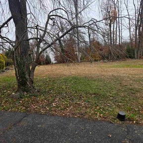 Leaf Removal by Valencia Lawn Service reviewed on November 19, 2025