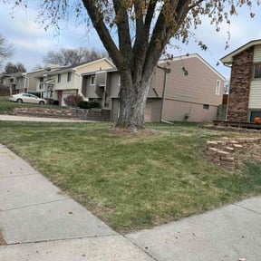 Leaf Removal by Good Guys Lawn and Fence reviewed on August 19, 2025