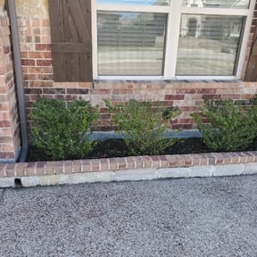Bush Trimming by Just Lawns LLC reviewed on August 21, 2025