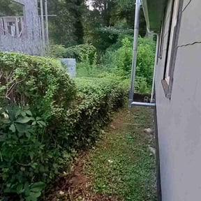 Bush Trimming by Kleen Kutz reviewed on August 17, 2025