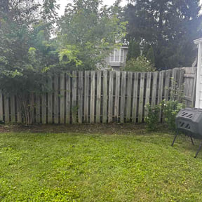 Flower Bed Weeding by Douglas Lawn and Services LLC reviewed on August 24, 2026