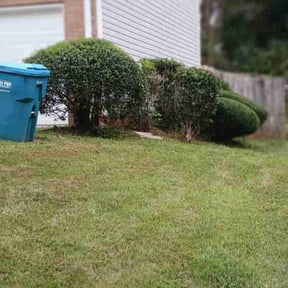 lawn maintenance by Calvin&#039;s Lawn and Landscaping reviewed on April 29, 2024