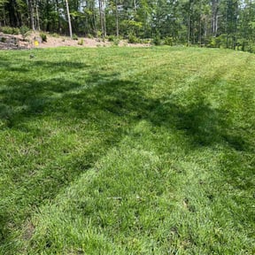 grass maintenance by Nextdoor Lawn Care reviewed on December 10, 2023