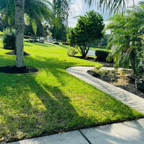 Mulching by Lawn Vision Care LLC reviewed on August 17, 2025