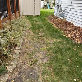 Leaf Removal by Arrington’s Cleaning LLC reviewed on October 24, 2025
