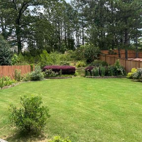 gardening service by Port Lawn Services reviewed on August 18, 2025