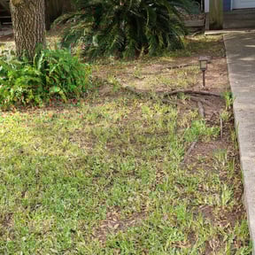 Leaf Removal by C &amp; T Lawn Service  reviewed on September 14, 2025