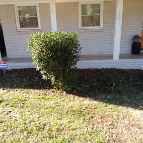 Bush Trimming by Central Florida Landscape and Mowing reviewed on August 21, 2025