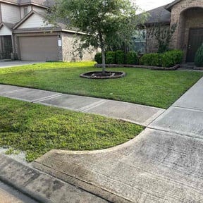 yard care by eMowBCS.com reviewed on August 15, 2025