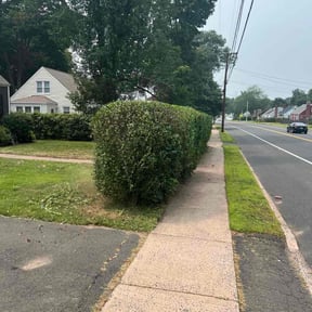 Bush Trimming by AAT Field Services reviewed on November 6, 2025