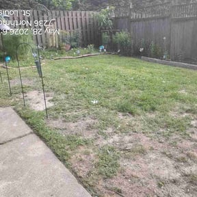 Leaf Removal by TexSONS Sesped reviewed on June 21, 2026