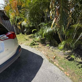 turf care by Affordable Lawncare and More reviewed on July 2, 2025