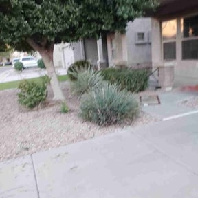 Bush Trimming by All in One Touch reviewed on October 18, 2025