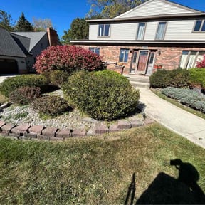 Bush Trimming by Shane Sullivan reviewed on December 27, 2025