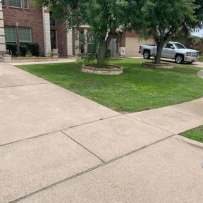 Bush Trimming by BRDOC - Lawn Care reviewed on November 24, 2025