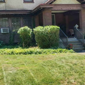 Bush Trimming by Ochoa Landscape and Irrigaton LLC reviewed on August 17, 2025