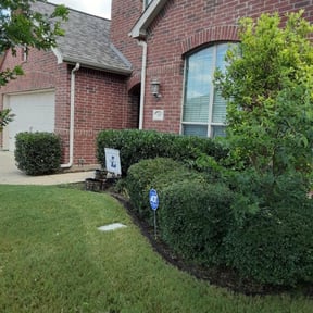 Bush Trimming by Shelton Complete Lawn Care reviewed on August 17, 2025