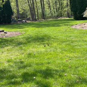 Leaf Removal by Lake Area Landscaping reviewed on May 21, 2024