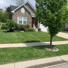 lawn maintenance by E-maculate Lawn  Care LLC reviewed on August 18, 2025