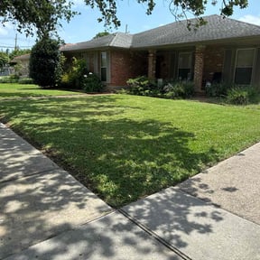 landscaping by Azamar landscaping & construction reviewed on August 19, 2025