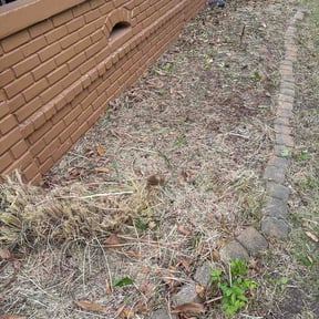 Flower Bed Weeding by Marroquin Landscaping reviewed on May 6, 2026