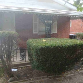 Bush Trimming by Pathway landscaping reviewed on November 26, 2025