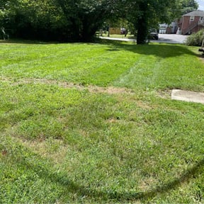 lawn maintenance by All yards reviewed on May 13, 2024