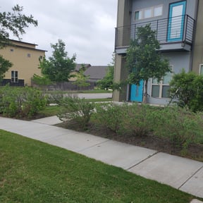Bush Trimming by Caliber Lawn and Garden reviewed on August 16, 2025