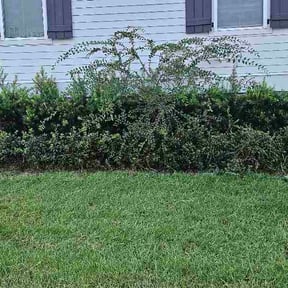 Flower Bed Weeding by 2mowbros reviewed on August 14, 2026