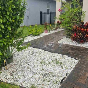 Leaf Removal by Tim's Discount Lawn reviewed on November 6, 2025