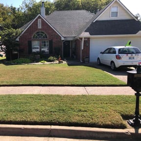 yard care by Terra Mows Lawn Care Services reviewed on November 26, 2025