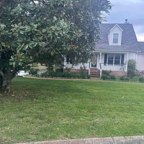 yard work by Mower Lawn & Landscape LLC reviewed on August 21, 2025