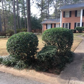 Bush Trimming by Emanuel Lawn Mowing LLC reviewed on August 16, 2025