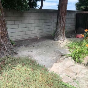 Leaf Removal by Benzki lawn care reviewed on September 18, 2025