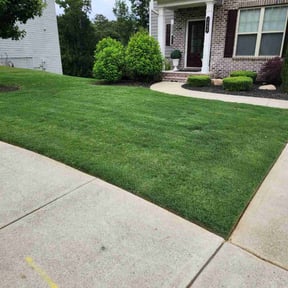 turf care by Yogi Lawn Care reviewed on August 17, 2025
