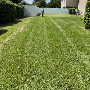 yard maintenance by Jeremy Faulk LLC reviewed on August 18, 2025