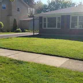 lawn care by Handiest Inc reviewed on March 19, 2024