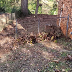 Bush Trimming by Turbo Lawn Care reviewed on August 16, 2025