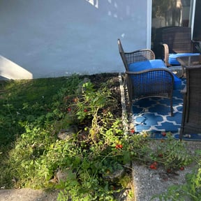 Flower Bed Weeding by Cardenas Lawn Care and Handyman Service. reviewed on November 22, 2025