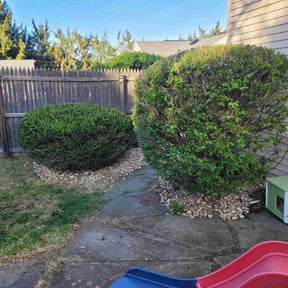 Bush Trimming by J&M Landscaping reviewed on August 20, 2025