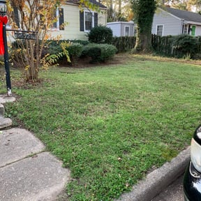 Leaf Removal by C&amp;J lawn&amp; Landscaping reviewed on September 11, 2025