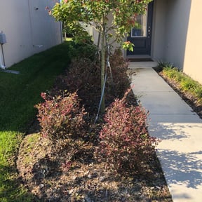 lawn care services by Mozelle Lawncare reviewed on August 15, 2023