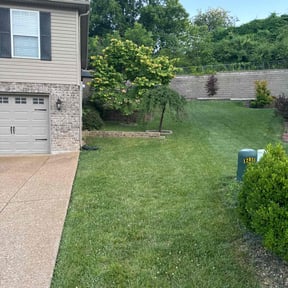 landscaping by West Outdoor Services LLC reviewed on August 17, 2025