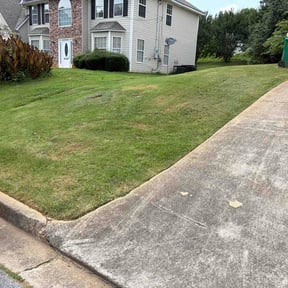 Bush Trimming by Skinny Manns Hauling, Lawn &amp; Handyman Services LLC reviewed on June 16, 2026